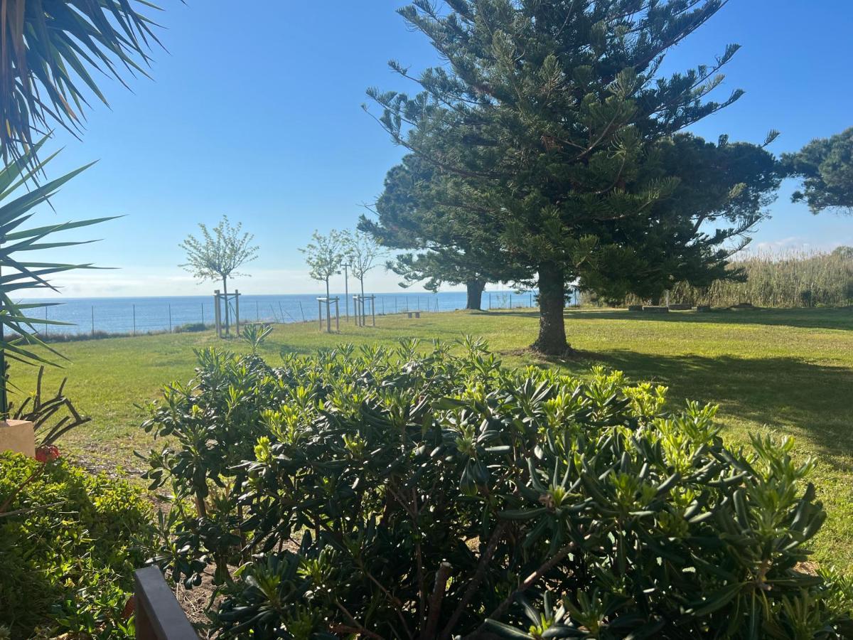 Appartement N 216 Moriani Plage Санта-Люсьа-ди-Морьяни Экстерьер фото